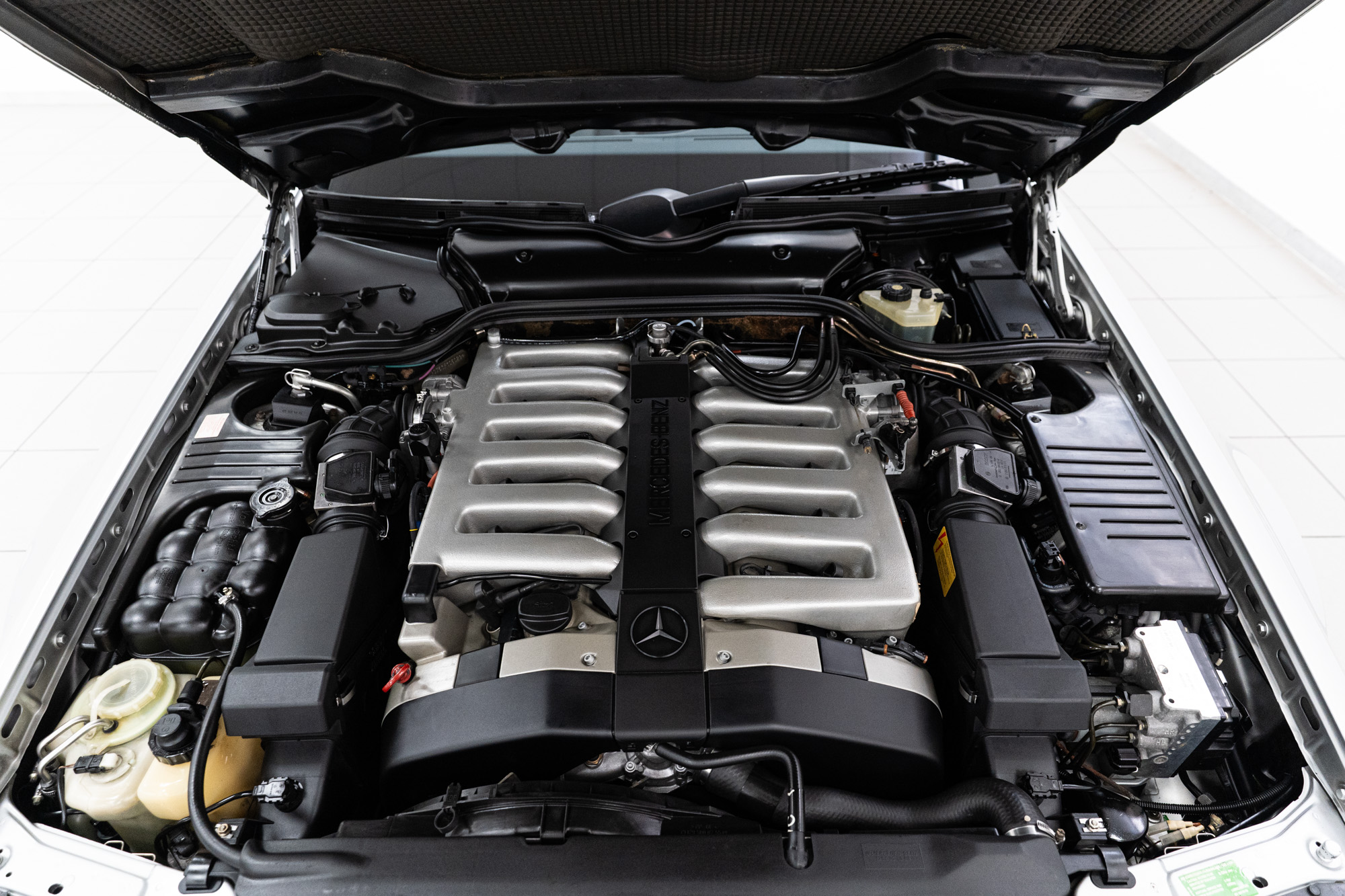 Mercedes-Benz SL 600 cat